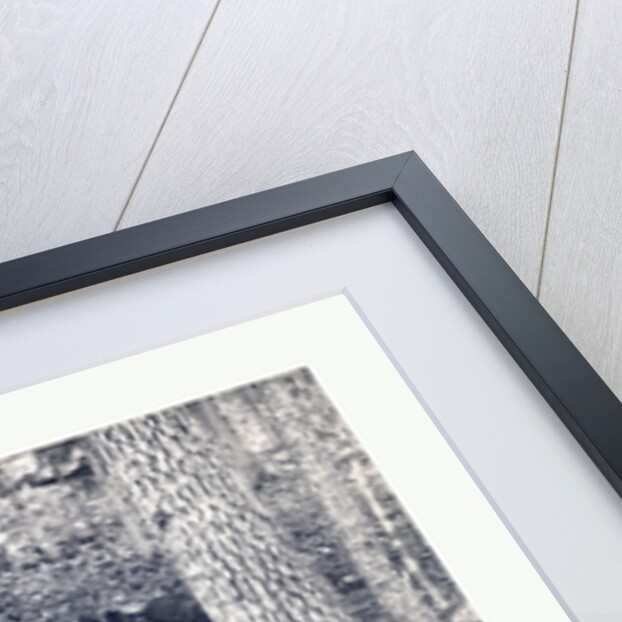 American Civil War: The Slaughter Pen at Gettysburg, Dead Soldiers in an Area Called the Slaughter Pen to the Right of the Union Line at the Foot of Round Top in Gettysburg in July of 1863 by Anonymous