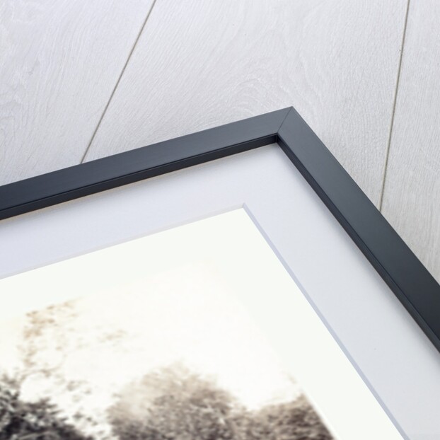 American Civil War: Burnside Bridge, Antietam, Sept., 1862 by Anonymous