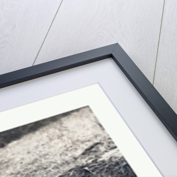 American Civil War: War Effect of a Shell on a Confederate Soldier at Battle of Gettysburg, Emains of a Dead Soldier on the Battlefield by Anonymous