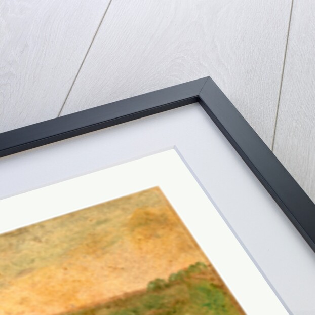 American Civil War: Laid Out for Burial at Antietam, Md. Bodies of Confederate Dead Gathered for Burial by Anonymous