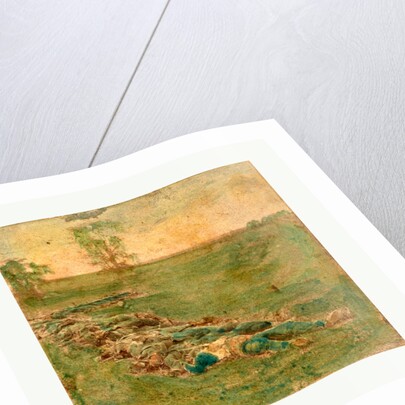 American Civil War: Laid Out for Burial at Antietam, Md. Bodies of Confederate Dead Gathered for Burial by Anonymous