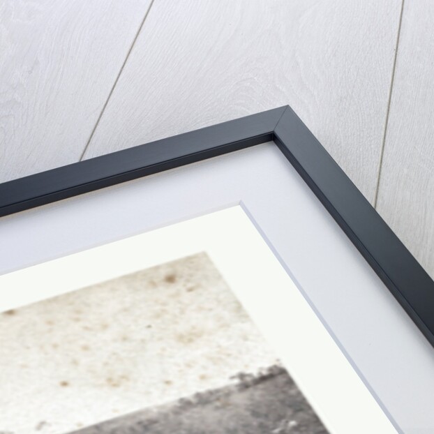 American Civil War: Gathered Together for Burial after the Battle of Antietam, Dead Bodies on the Ground by Anonymous