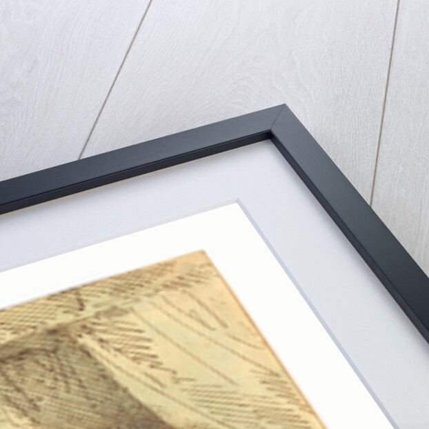 A Cully Pillaged by Anonymous