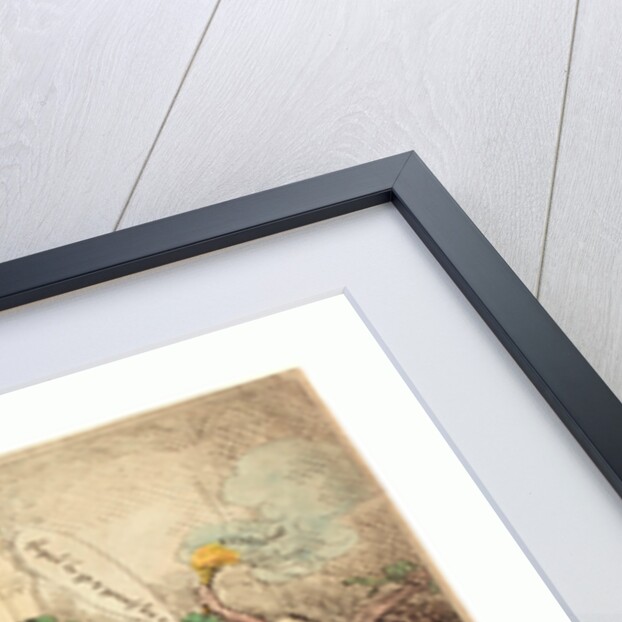 The Times by Anonymous