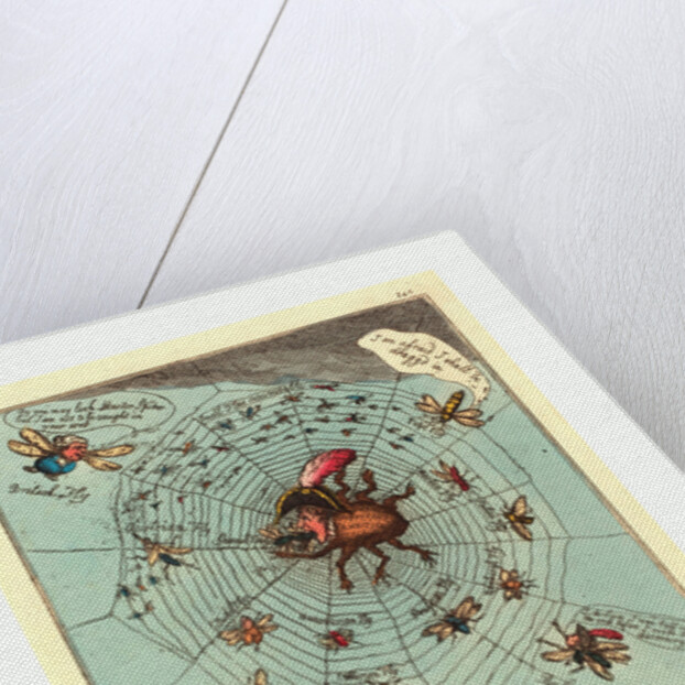 The Corsican Spider in His Web by Anonymous