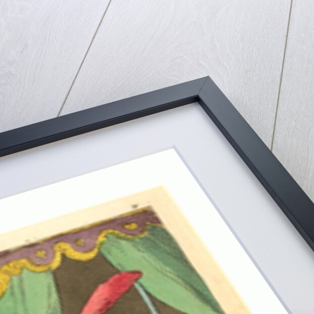 Puss in Boots by Anonymous