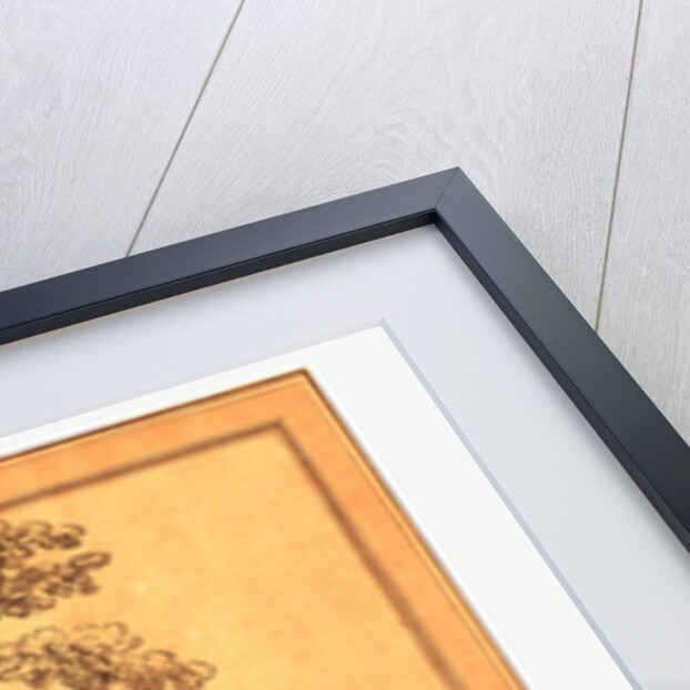 Going Out in the Morning by Anonymous