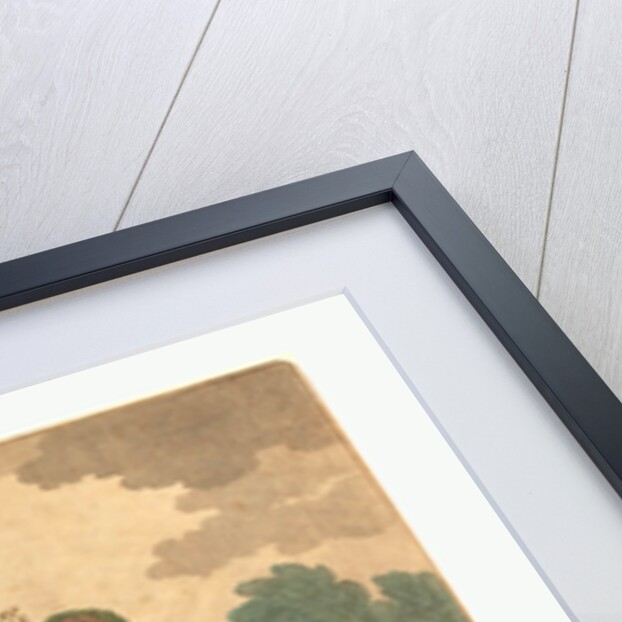 A Squall in Hyde Park, 1791 by Anonymous