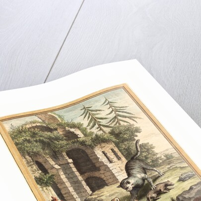 Le Chat, La Balette Et Le Petit Lapin (the Cat, the Weasel, and the Rabbit) by Anonymous