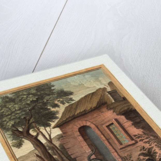 Le Vieux Chat Et La Jeune Souris (the Old Catand the Young Mouse) by Anonymous