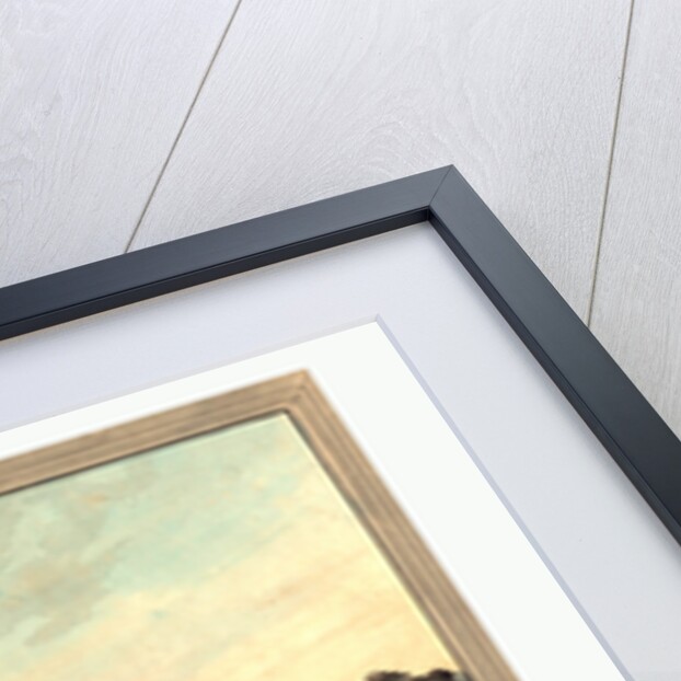 The High-Mettled Racer by Anonymous