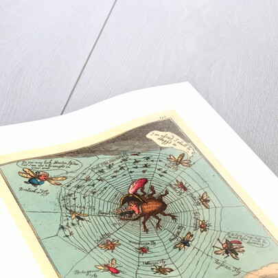 The Corsican Spider in His Web by Anonymous