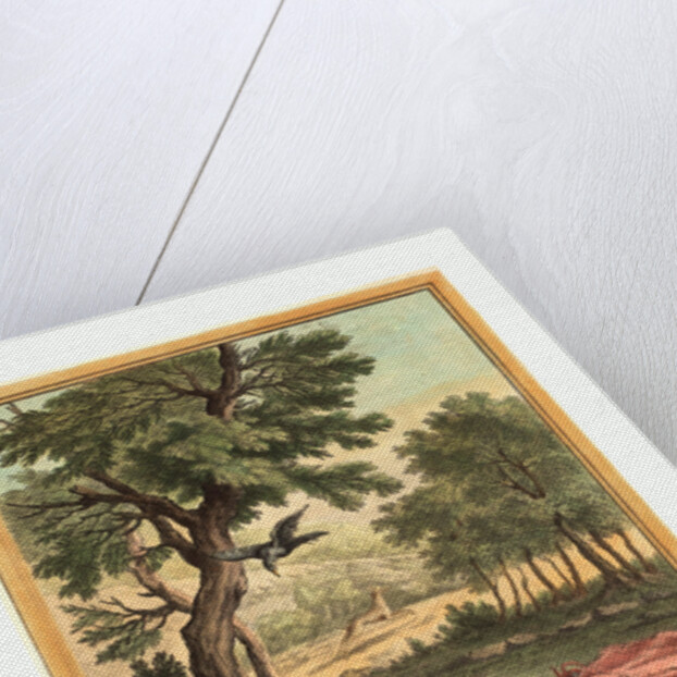 Le Corbeau, La Gazelle, La Tortue Et Le Rat (the Crow, the Gazelle, the Tortoise, and the Rat) by Anonymous