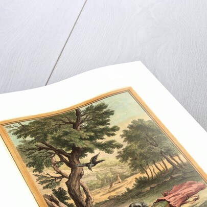 Le Corbeau, La Gazelle, La Tortue Et Le Rat (the Crow, the Gazelle, the Tortoise, and the Rat) by Anonymous