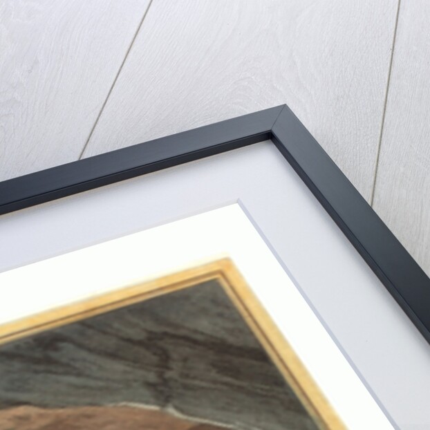 La Matrone D'Ephese (the Matron of Ephese) by Anonymous