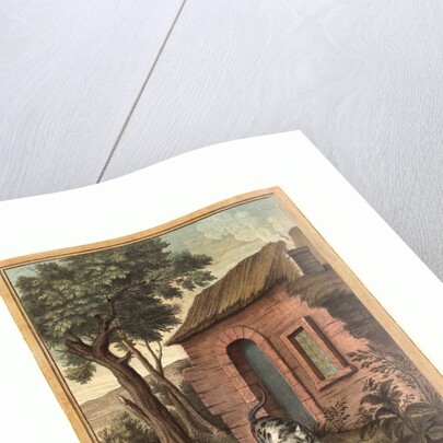 Le Vieux Chat Et La Jeune Souris (the Old Catand the Young Mouse) by Anonymous