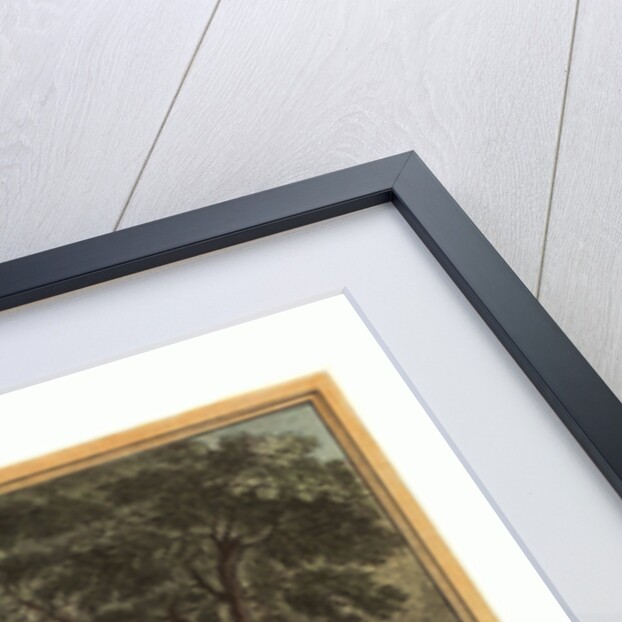 Les Deux Rats, Le Renard Et L'Oeuf (Two Rats,the Fox, and the Egg) by Anonymous