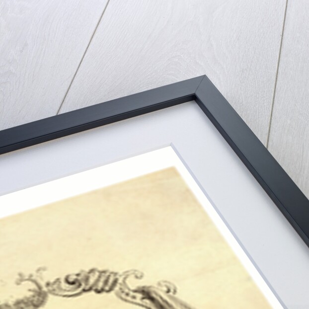 Francesco Arban Di Lione by Anonymous