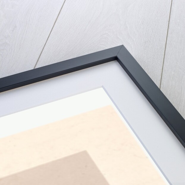 Francesco Arban Di Lione by Anonymous