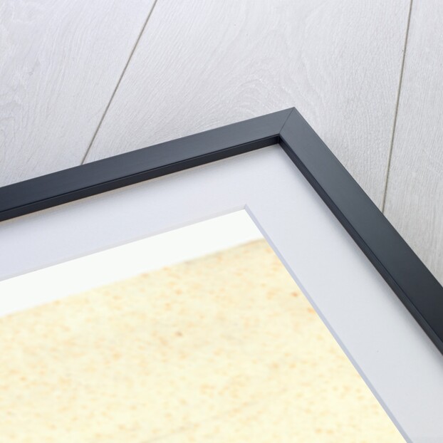 Francesco Arban, Between 1830 and 1850 by Anonymous