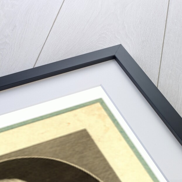 Mr. Le Maris. D'Arlande, First Aerial Navigator, Half-Length Portrait of French Balloonist Marquis François Laurent D'Arlande in Uniform. by Anonymous