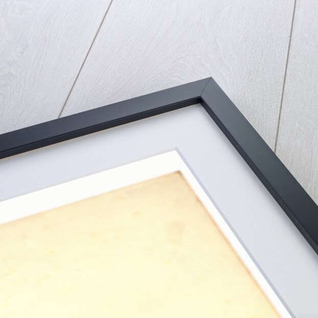 P.J. Barthez / Pigueron by Anonymous