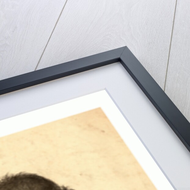 Litho De Berdalle by Anonymous