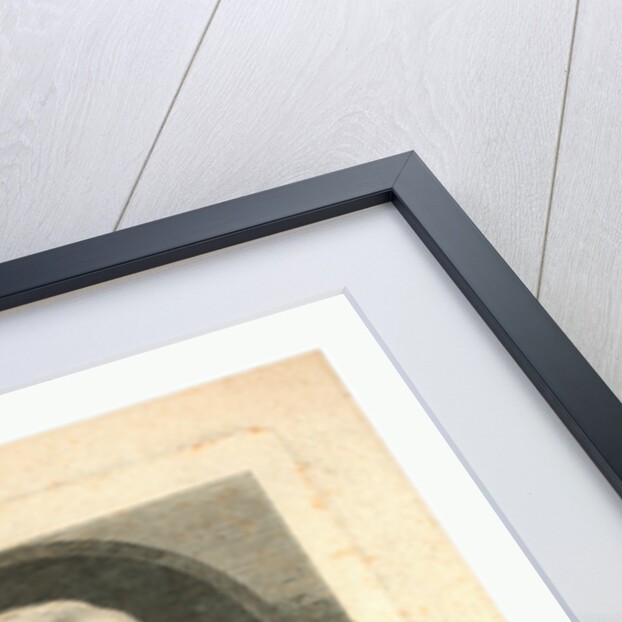 Oval Head-and-Shoulders Profile Portrait of French Balloonist Jean-François Pilâtre De Rozier. by Anonymous