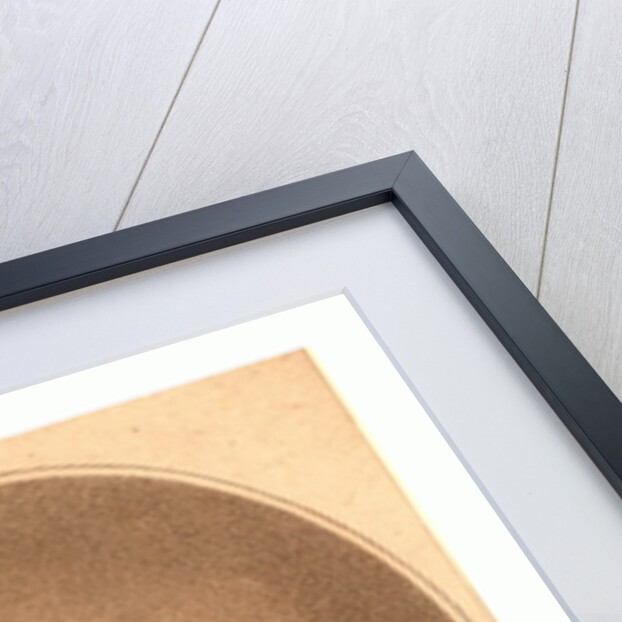 Vincent Lunardi Esqr., Secretary to the Late Neapolitan Ambassador, First Aerial Traveller in England by Anonymous