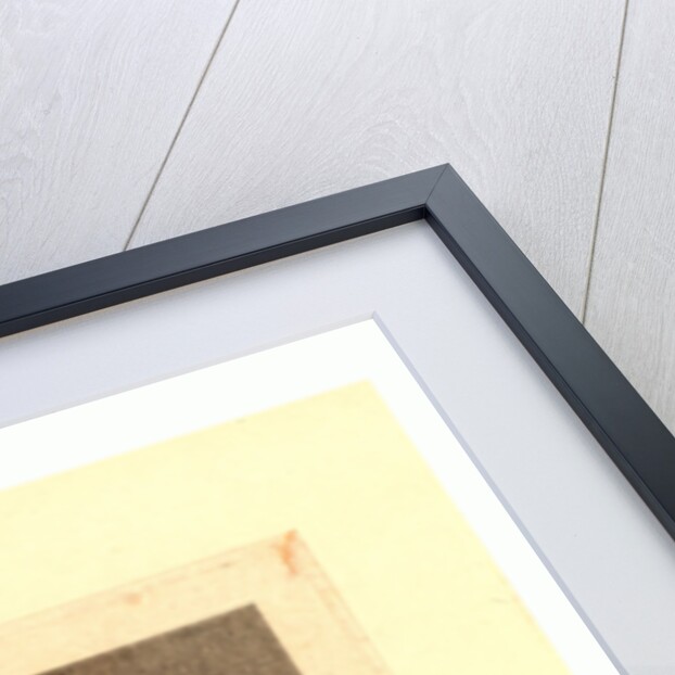 Stephan Und Joseph, Mongolfier by Anonymous