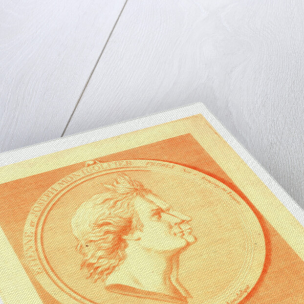 Bust-Length Double Profile of the Montgolfier Brothers, French Balloonists by Anonymous