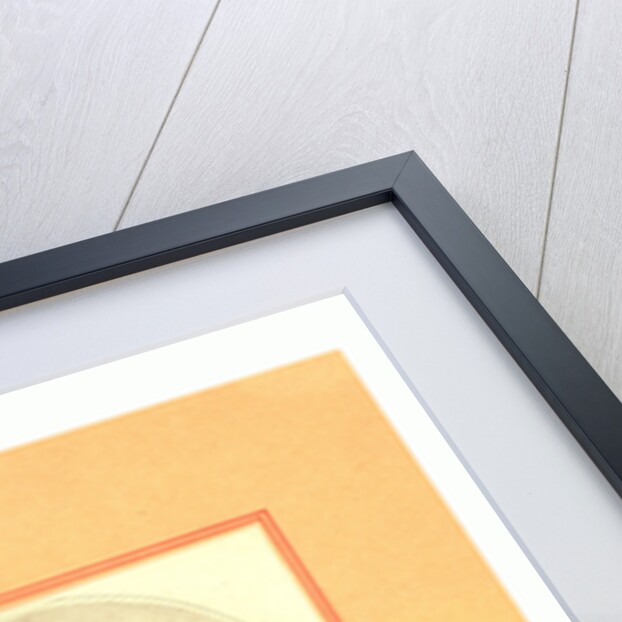 Mrs. Sage, the First English Female Aerial Traveller by Anonymous