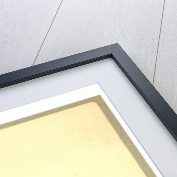 Gaston Tissandier, French Balloonist by Anonymous