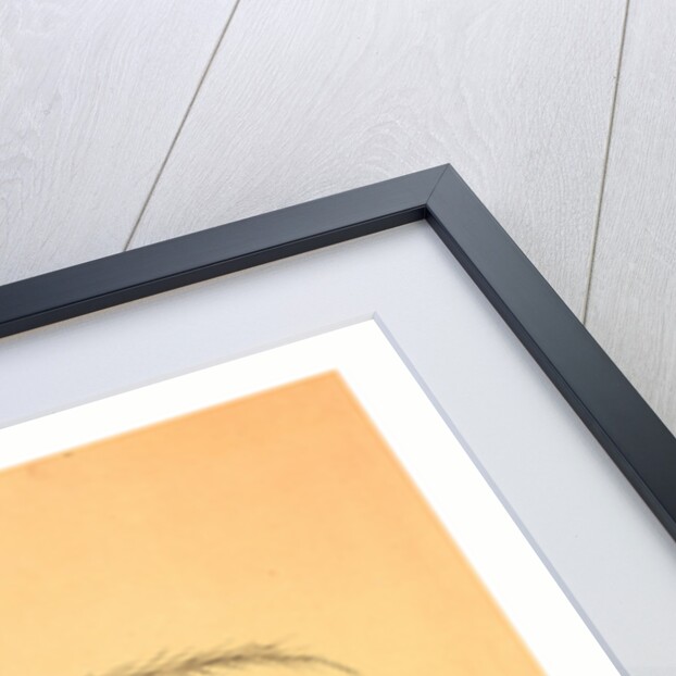 Stationery Illustrated with a Stalk of Wheat Wrapped in a Banner Marked Quo Non Ascendamus 1879 and a Balloon Flying above Clouds and Birds, 1879 by Anonymous