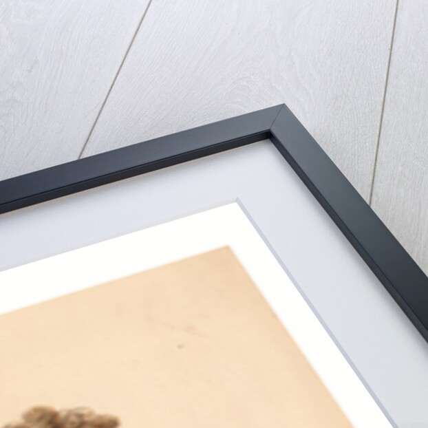 Head-and-Shoulders Portrait of Prince De Ligne by Anonymous