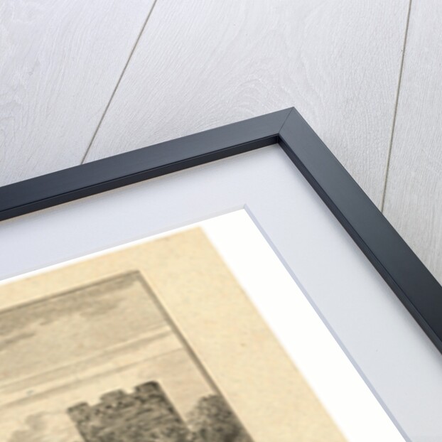 Dees Nederlandsche Koe, Altoos Waereld-Grooten, Dutch Political Cartoon About the Partitioning of the Netherlands by Anonymous