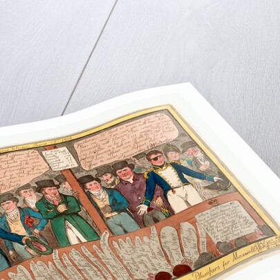 The Freedom of Election or Hunt-Ing for Popularity and Plumpers for Maxwell by Anonymous