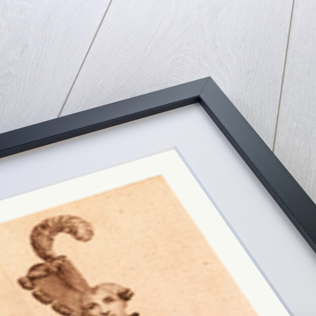 Mademoiselle De Beaumont or the Chevalier D'Eon by Anonymous