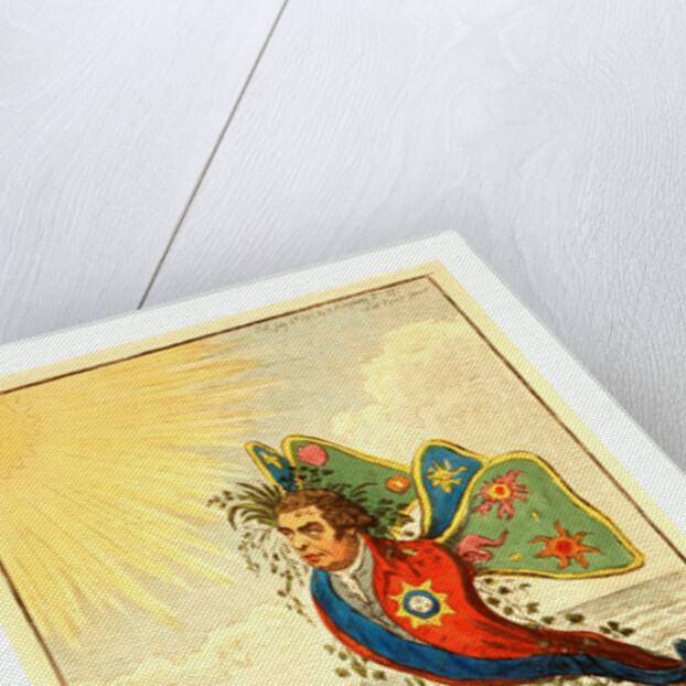 The Great South Sea Caterpillar by Anonymous