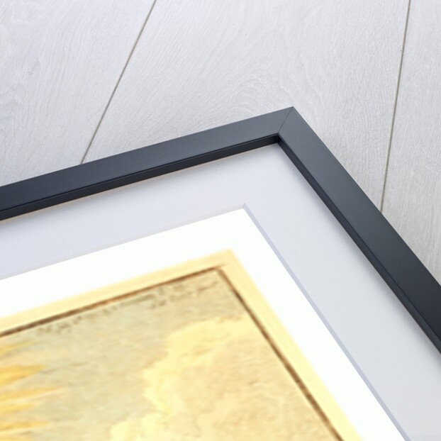 The Great South Sea Caterpillar by Anonymous