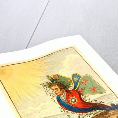 The Great South Sea Caterpillar by Anonymous