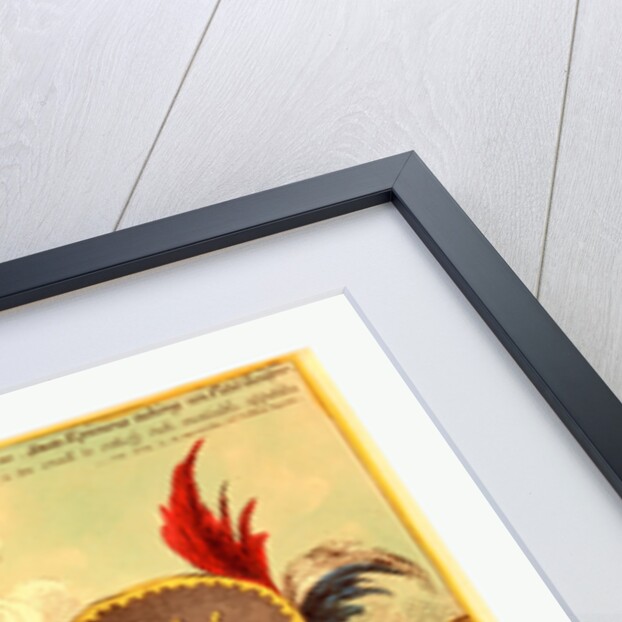 The Plumb Pudding in Danger by Anonymous