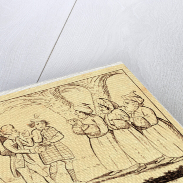 The Commissioner's Interview with Congress by Anonymous