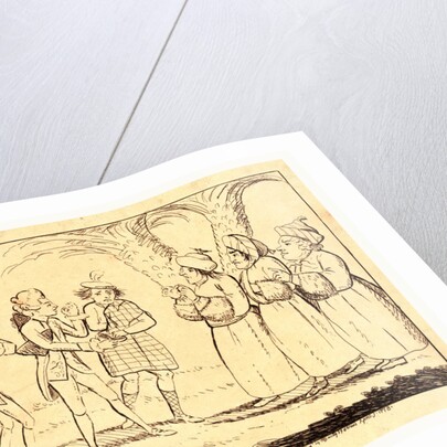 The Commissioner's Interview with Congress by Anonymous