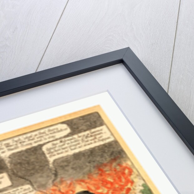 The Fall of Washington or Maddy in Full Flight by Anonymous