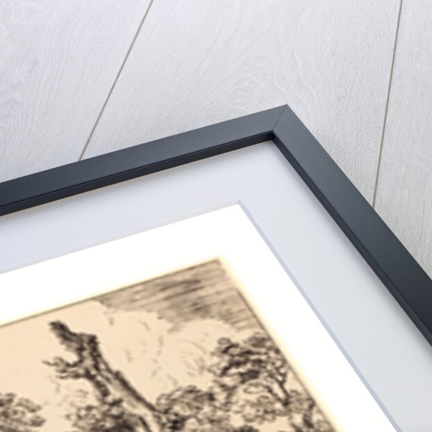 Study of an Old Oak Tree by Anonymous