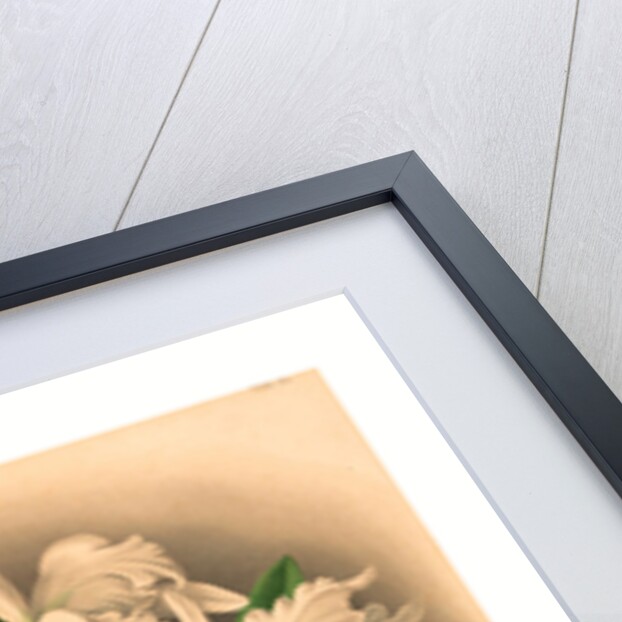 Gustav Leutzsch after Charles Storer by Anonymous