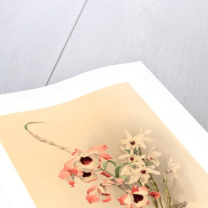 Joseph Mansell after Henry George Moon by Anonymous