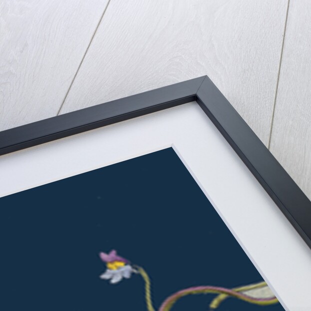 Linaria Cymbalaria; Ivy-Leaved Toadflax by Anonymous