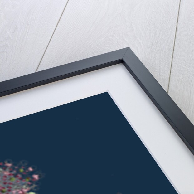 Sedum Eu-Album; Sedum Album and Sedum Micranthum; White Stone-Crop by Anonymous